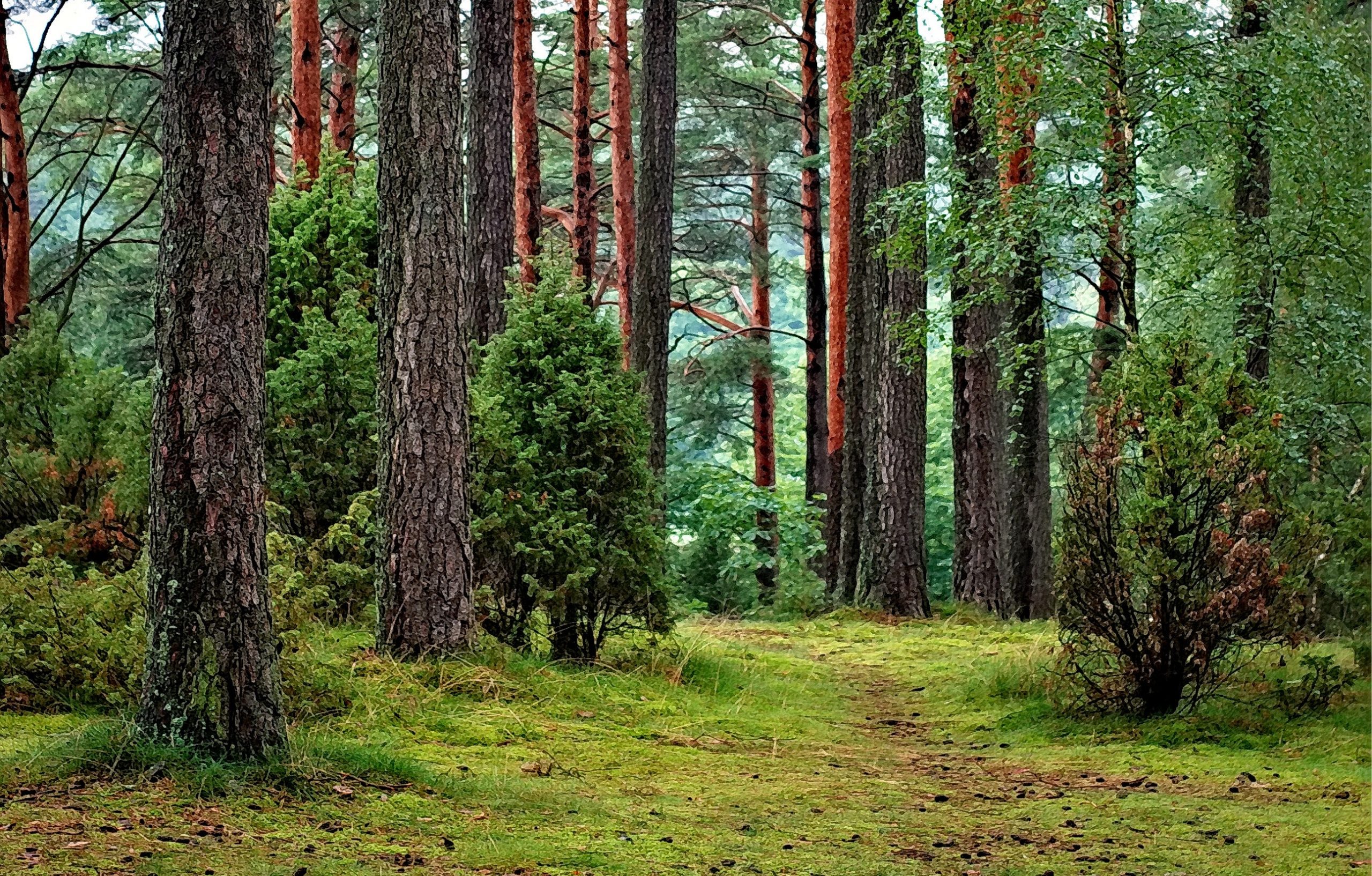 Foto notícia - A prosperidade econômica e o meio ambiente.